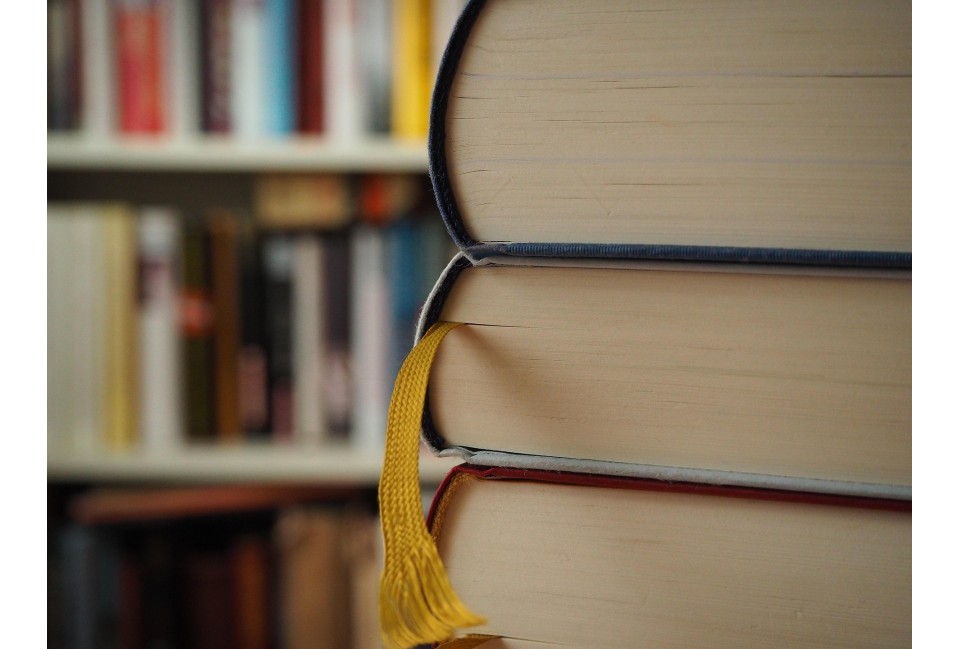 Littérature blanche et de genre : dans quelle catégorie êtes-vous ?